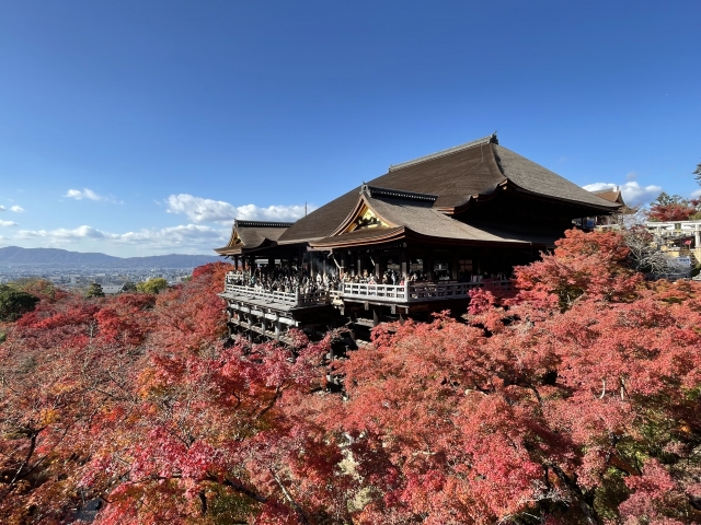 京都府の風景：清水寺